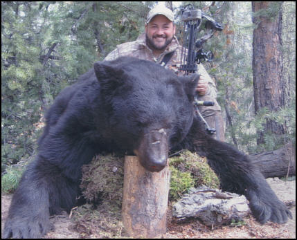 Alberta Black Bear Hunting